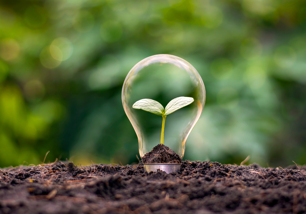 What Is Corporate Sustainability? Learn About its 3 Pillars that Drive Long-Term Growth | Leadership | Emeritus