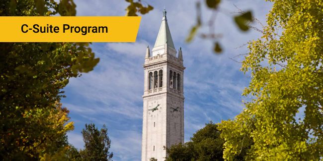 Berkeley Chief Executive Officer (CEO) Program