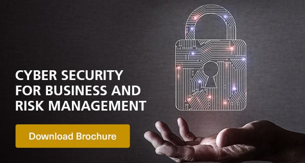 Cyber Security for Business and Risk Management