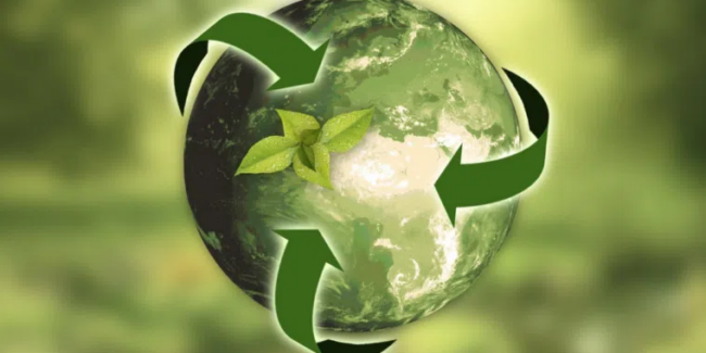 What is a Circular Economy and How Does it Work? | Business Management | Emeritus