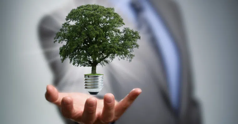 Corporate Sustainability – Meaning, Examples, and Importance | Business Management | Emeritus 