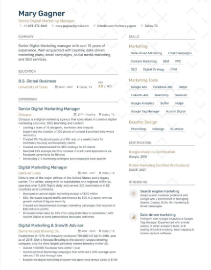 skills for digital marketing resume