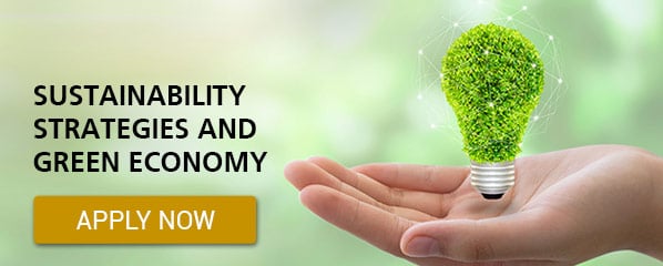 Sustainability Strategies and Green Economy