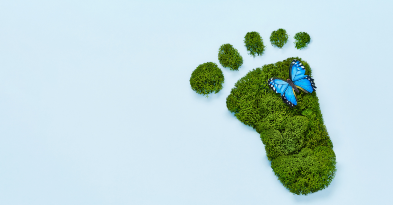 Sustainability Career Path: Top 4 Tips to Grow in Your Career | Digital Transformation |Emeritus 