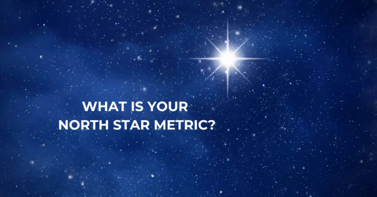 What is a North Star Metric? Why is Important for Businesses | Business Management | Emeritus